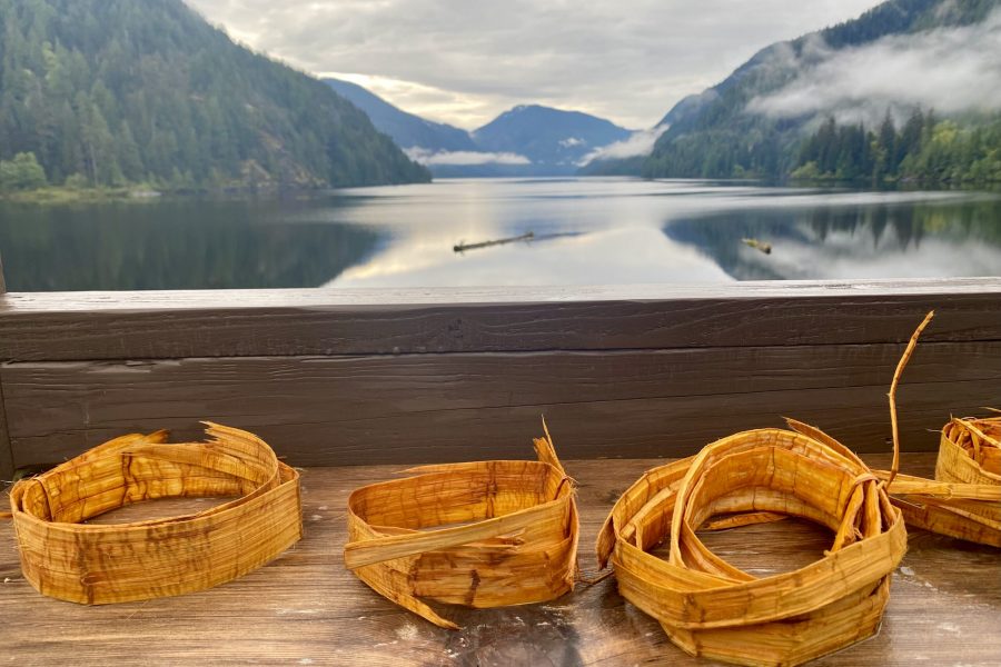 Cedar bark at Henderson Lake (Uchucklesaht Territory)